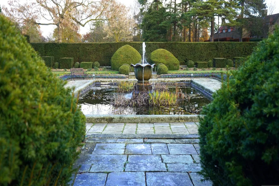 Dramatic pond features