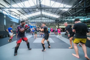 Tourists From Around the World Are Traveling to Learn Mma Class